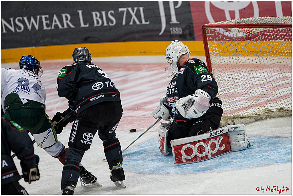 DEL, Koelner Haie - Augsburger Panther, 13.01.2017